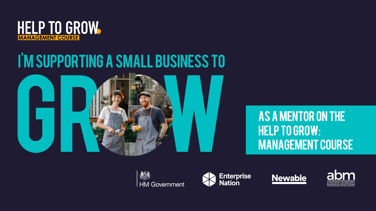 help to grow government business mentor scheme