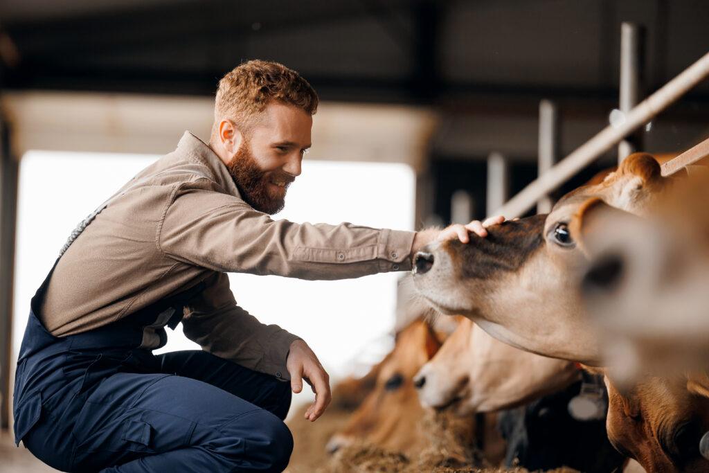 smiling man with cash flow cow