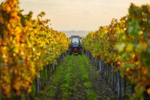 AI and precision agriculture | Vineyards | Commercial Finance | Moorgate Finance